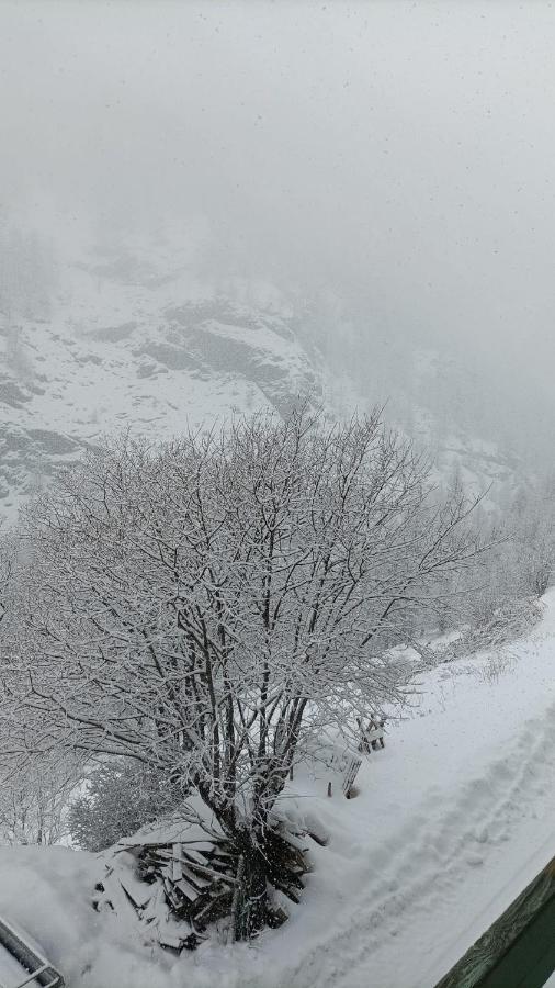 Les Hauts Du Roux Abriès Extérieur photo